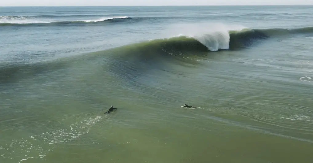 LA MÉTÉO ET LE SURF : COMPOSER AVEC LES ÉLÉMENTS POUR LES SURFEURS
