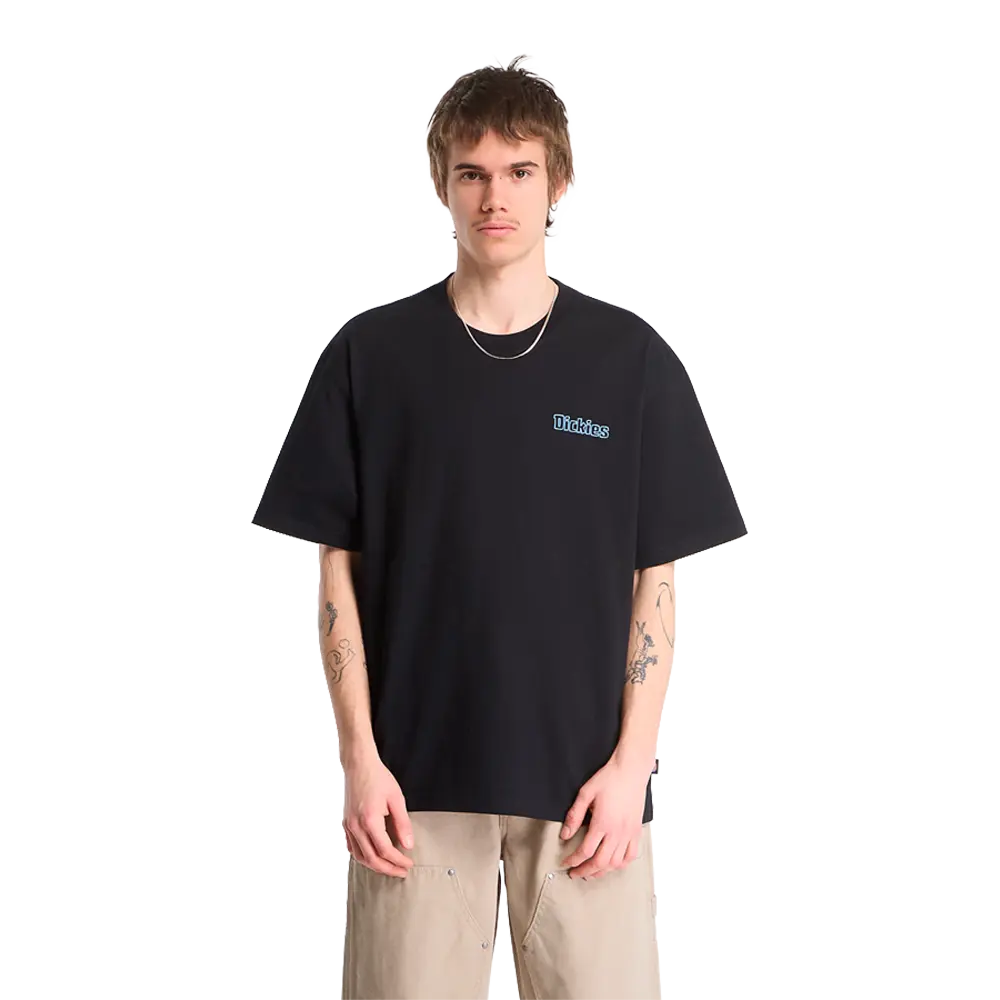 Dickies - T-shirts - Fairlawn Ss Tee Black noir VF France