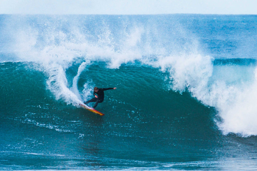 Veia