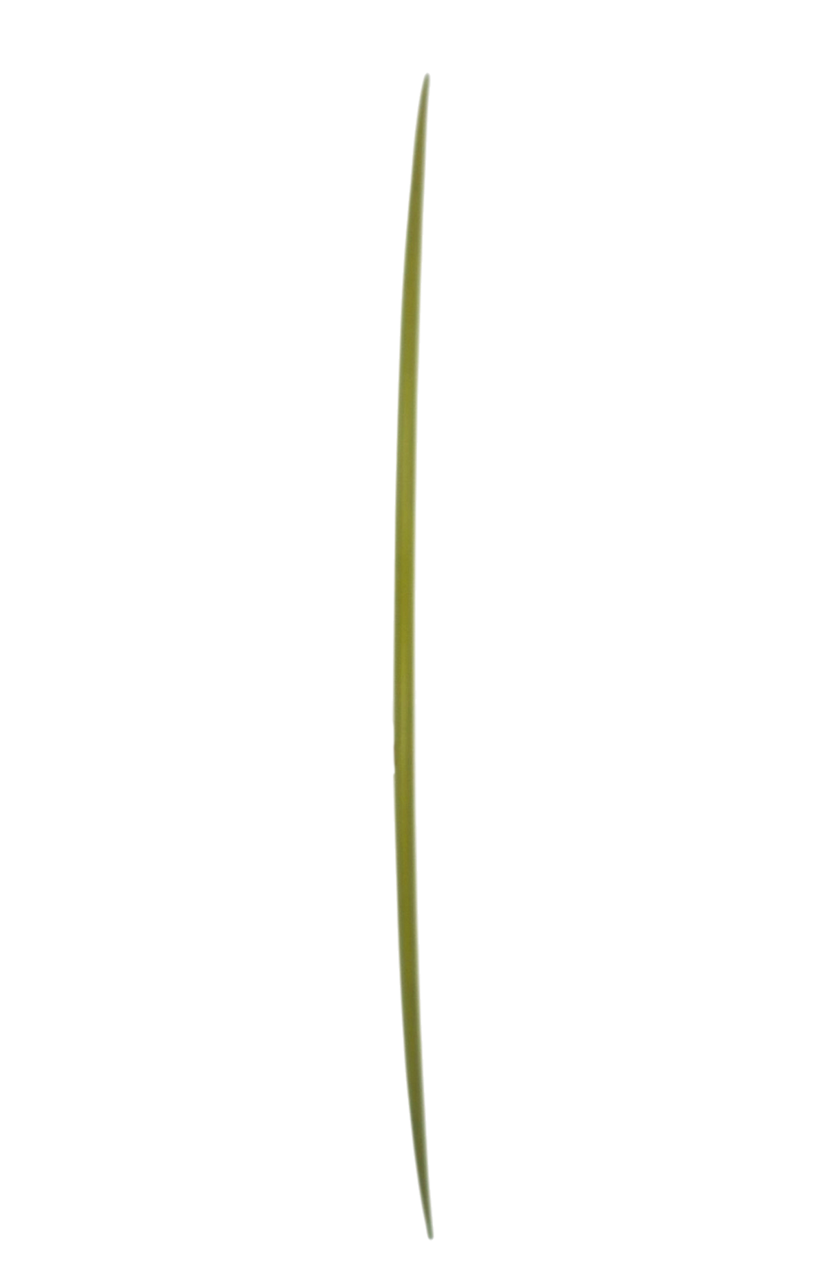 Pinder hawaii - Straight pin - 9'5" x 22' 3/4" x 3" Shapers Club