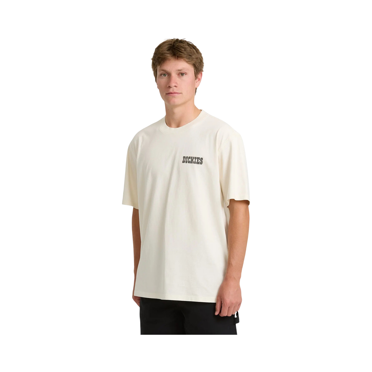 Dickies - T-shirts - Buchtell SS tee - White - photo 3