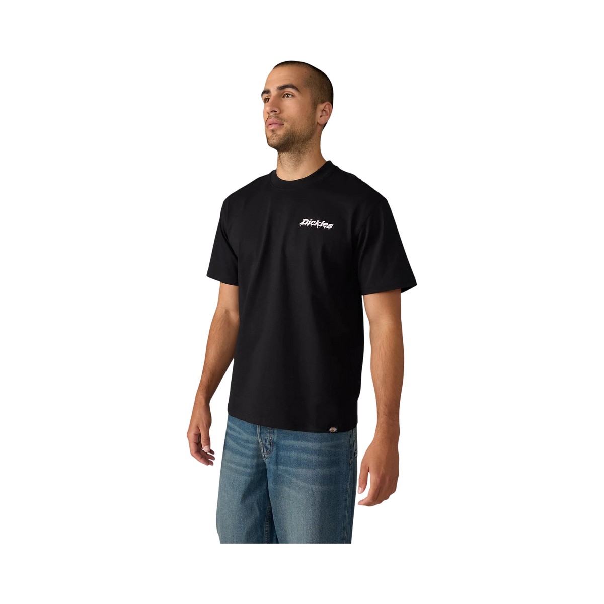 Dickies - STATESVILLE TEE SS BLACK S / UE 40 - 41 / US 30 - 31 - photo 3