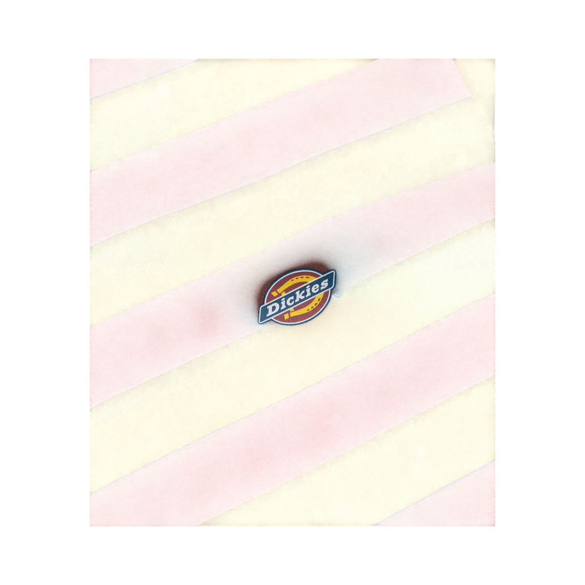 DICKIES RIVERGROVE SS TEE ANDORRA S - photo 2
