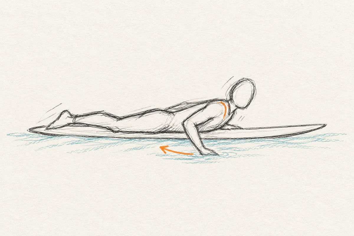 Surfeur dessiné au crayon ramant sur sa planche, avec une flèche indiquant la traction vers l'arrière.