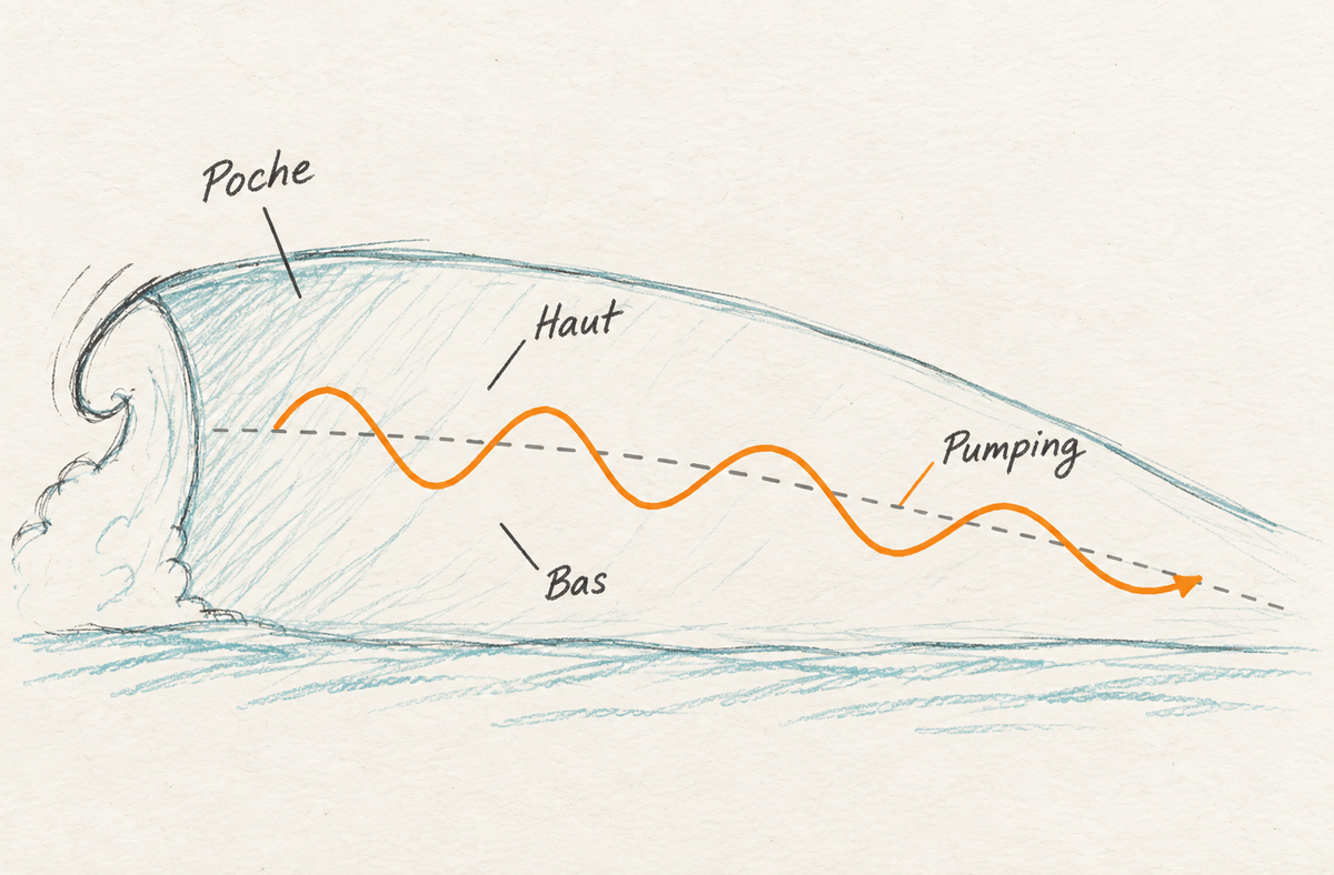 Face d'une vague vue depuis l'épaule : la poche près de la partie qui déferle donne la poussée, le haut de la face stocke l'énergie, le bas donne la vitesse maximale mais n'a plus de pente, et une trajectoire de pumping ondule entre les deux