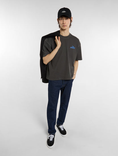 Dickies - T-shirts - Shonto noir - photo 3