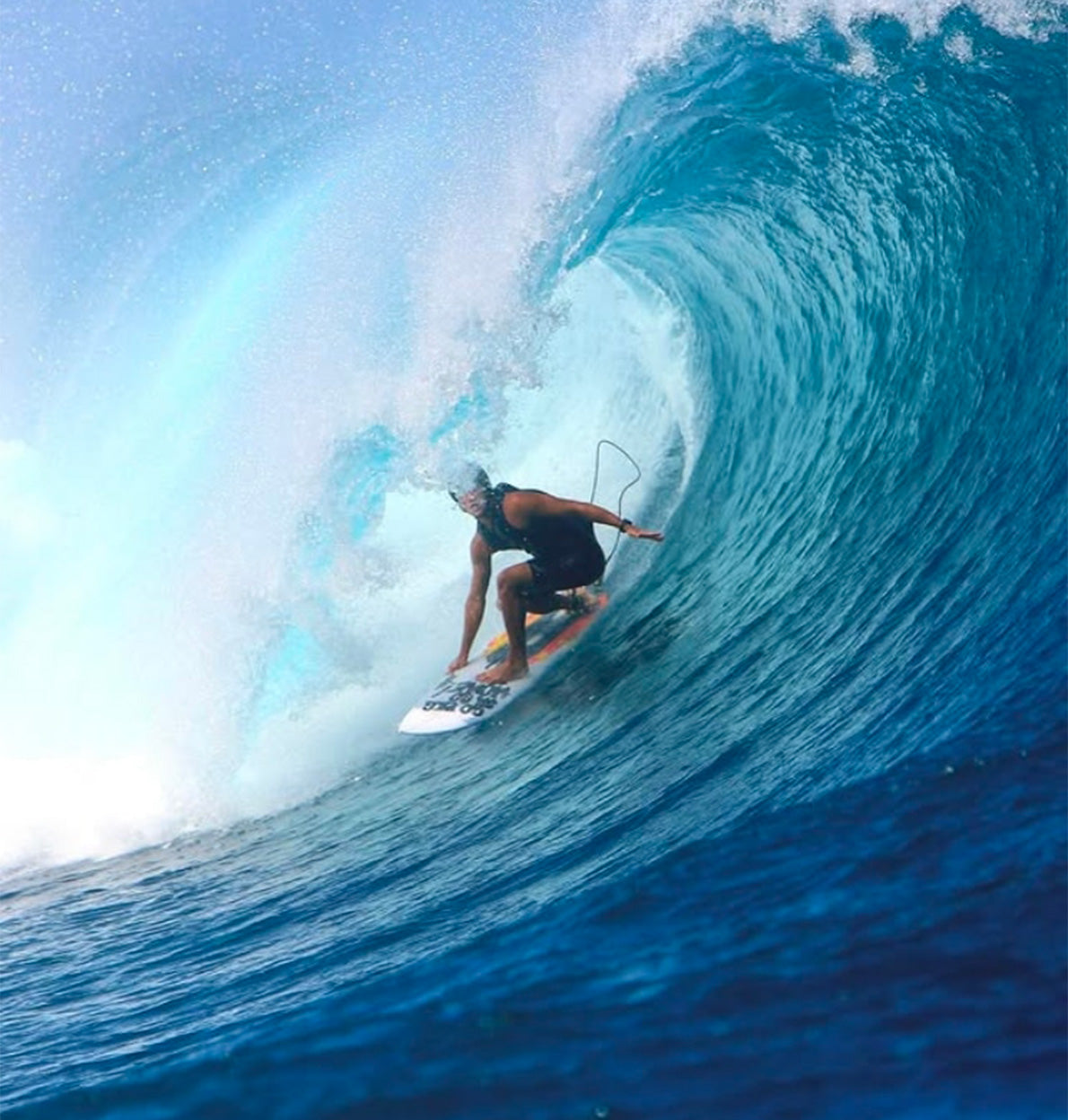 Cardinal surfboards