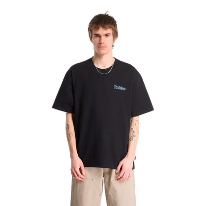 Dickies - T-shirts - Fairlawn Ss Tee Black noir VF France