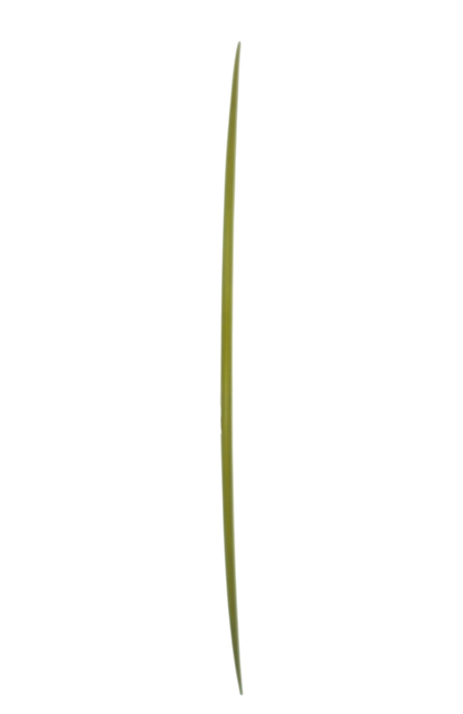 Pinder hawaii - Straight pin - 9'5" x 22' 3/4" x 3" Shapers Club
