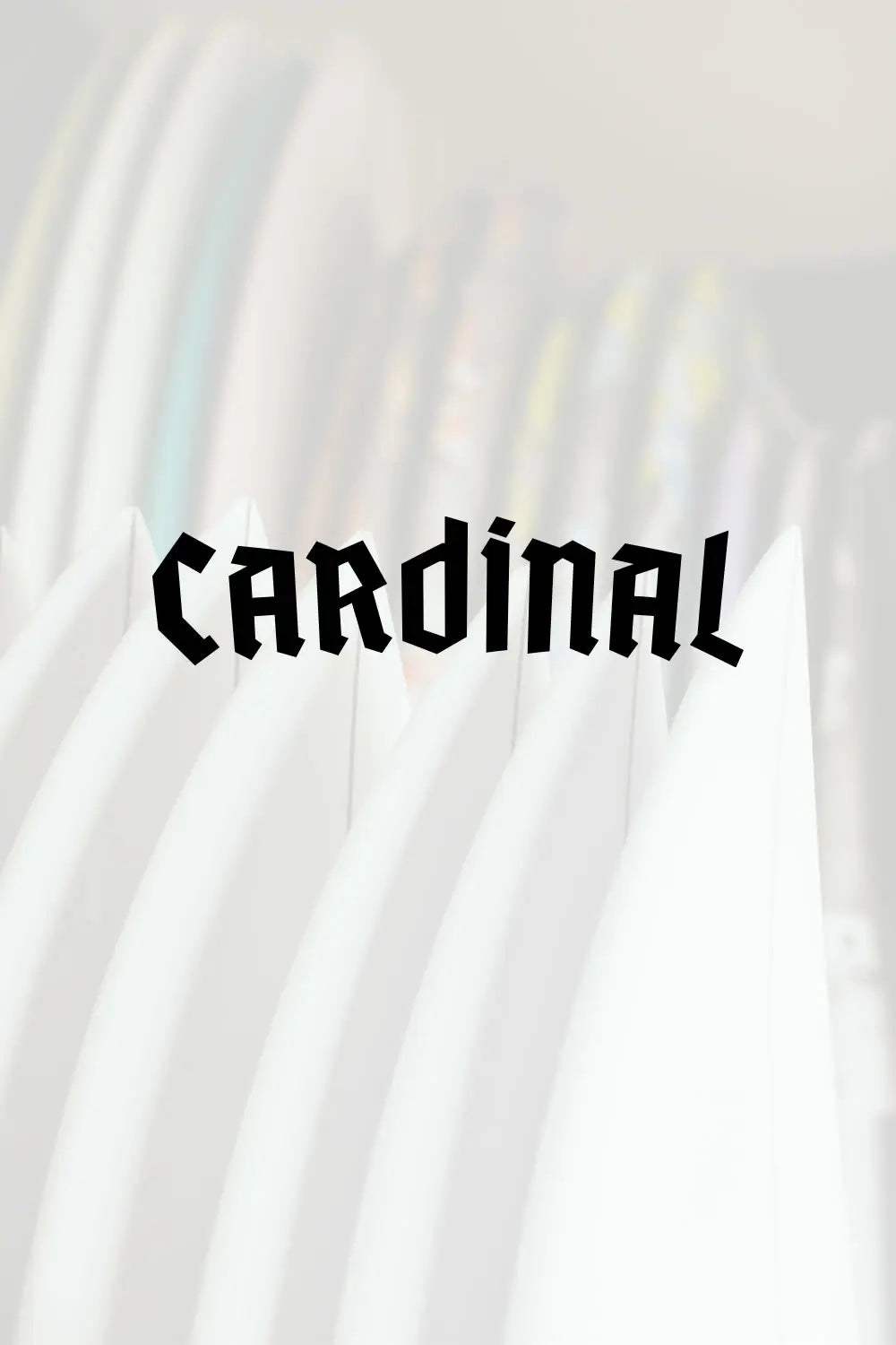Shape Cardinal Surfboards — Cave du Shapers Club