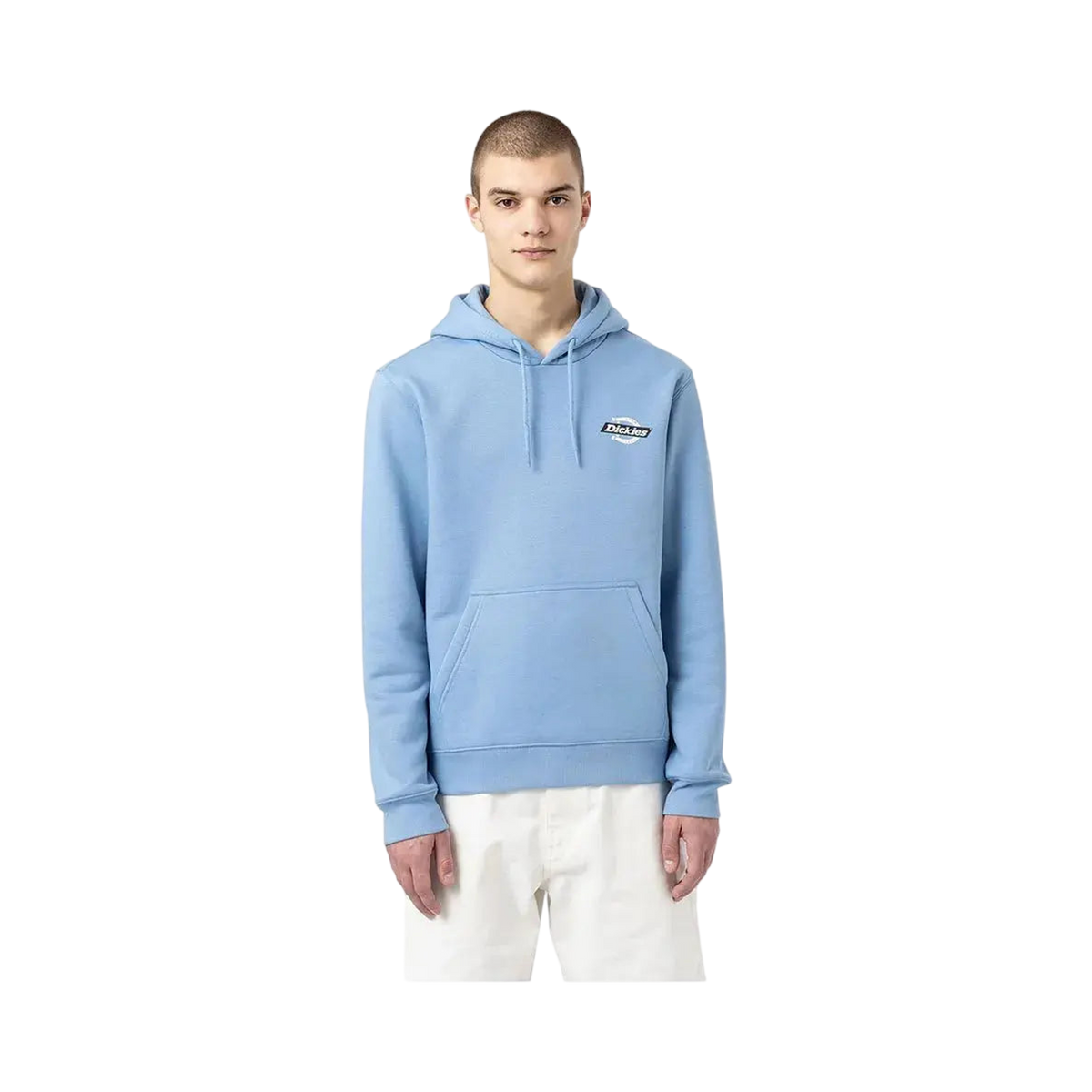 Dickies - Clothing - Hoodie Blue - photo 1