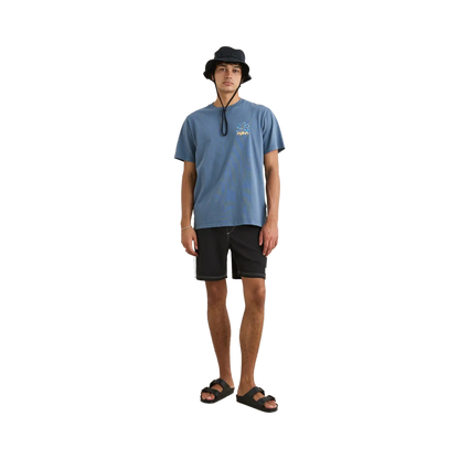 Rhythm - Boardshorts - Panel Stripe black Hoff