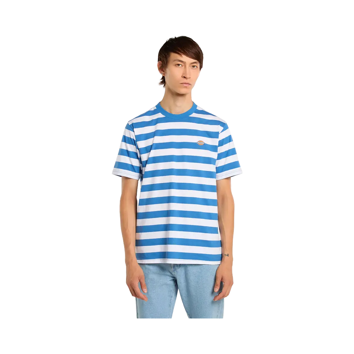 Dickies - T-shirts - Rivergrove Delft blue VF France