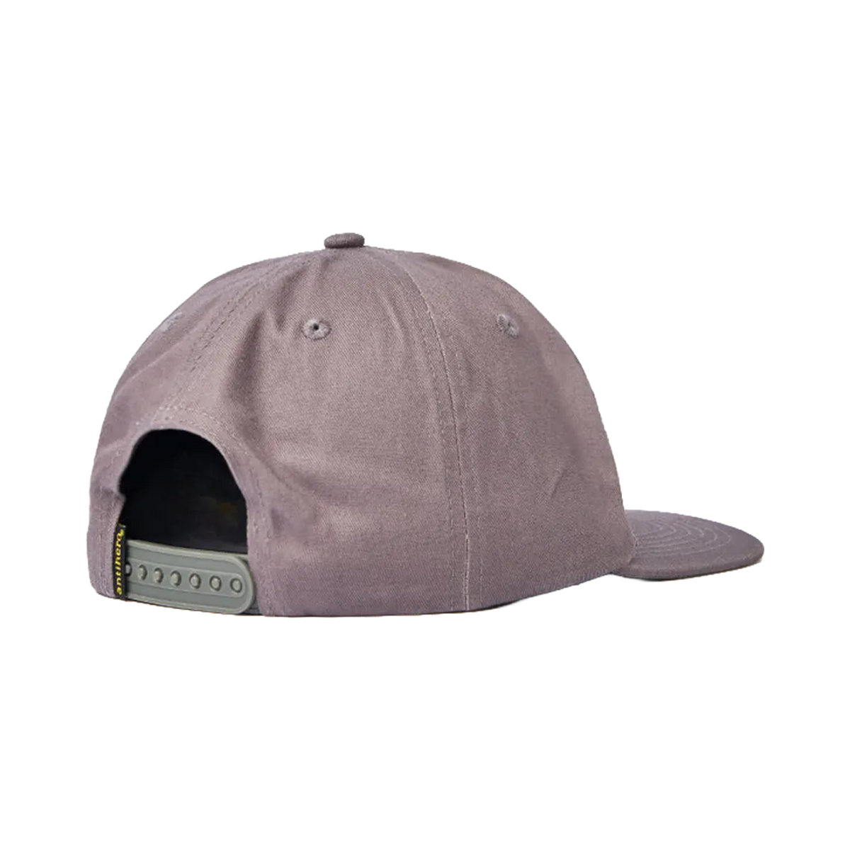 Antihero - Hats - Lil pigeon snapback Grey V7 Distribution
