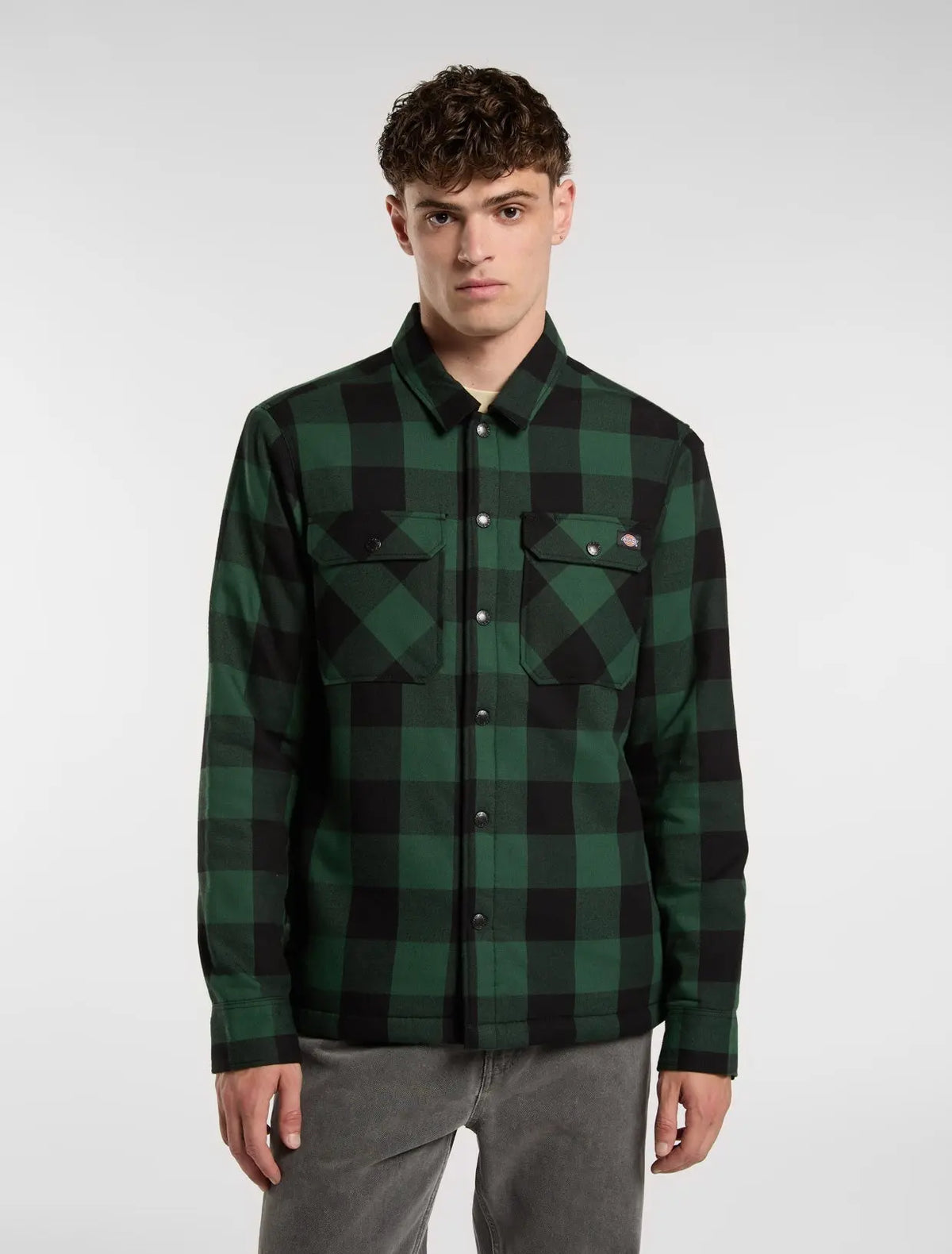 Dickies - LINED SACRAMENTO PINE NEEDLE GREEN M / UE 42  / US 32