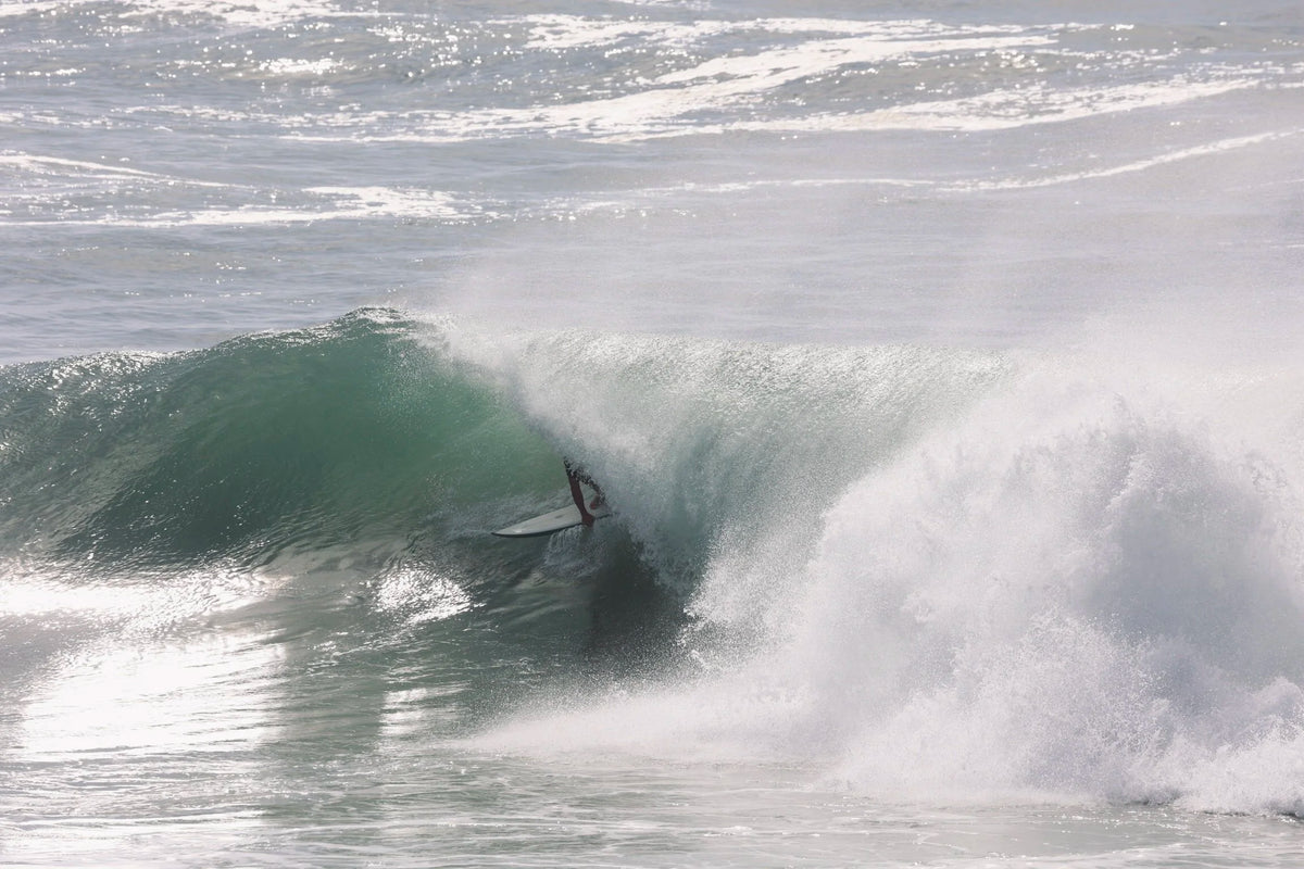 Tube sur une planche Neal Purchase Designs
