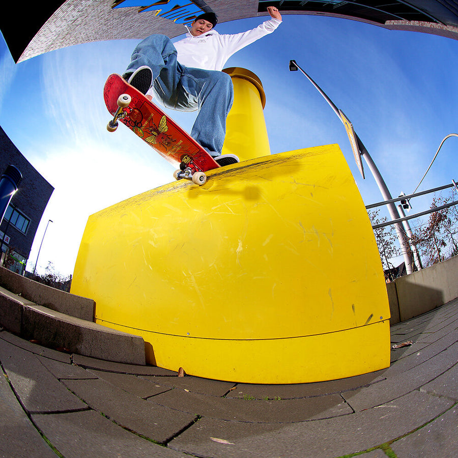 MOB Skateboards