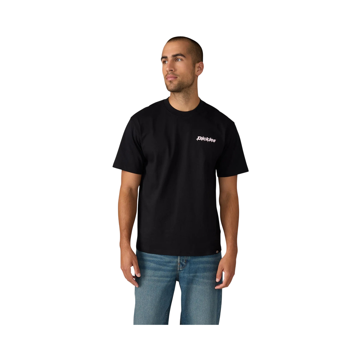 Dickies - STATESVILLE TEE SS BLACK S / UE 40 - 41 / US 30 - 31 - photo 2